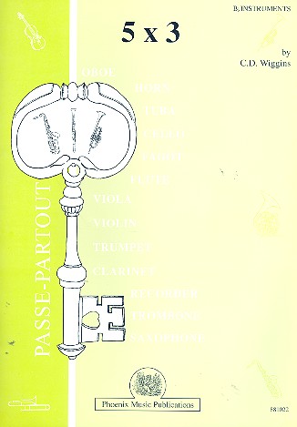 Passe-Partout 5 x 3 for flexible instruments