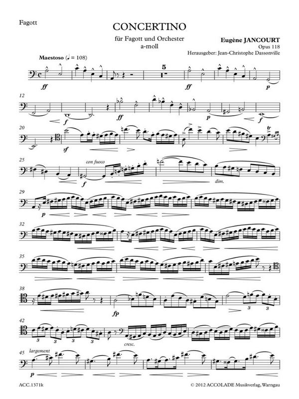 Concertino a-Moll op.118 für Fagott und