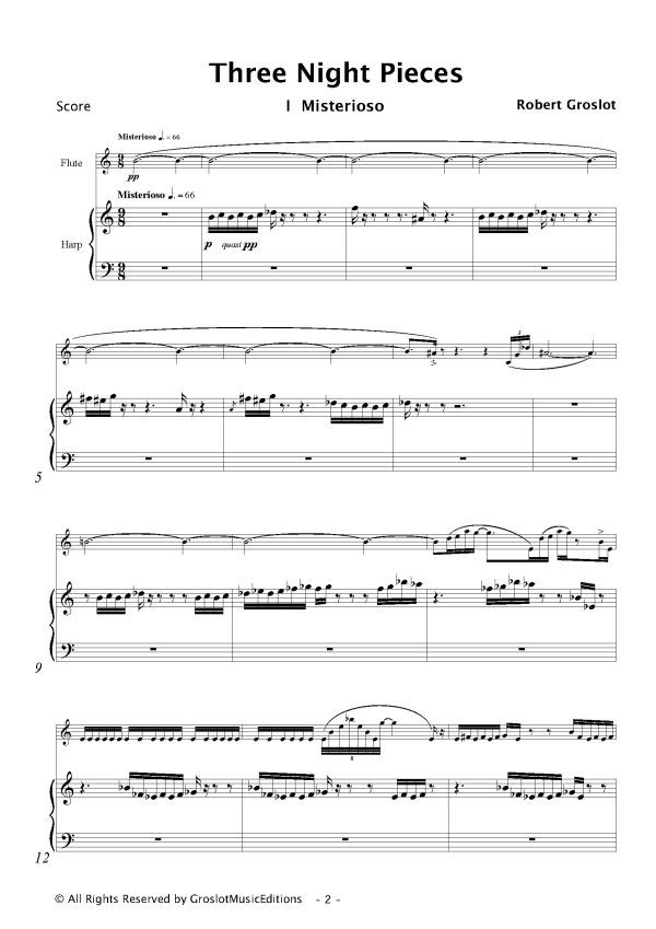 3 Night Pieces for flute and harp