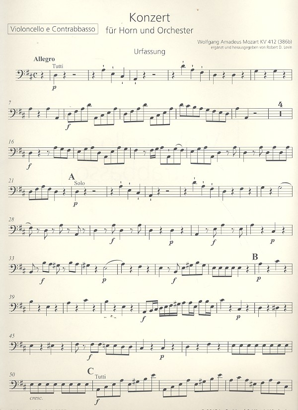 Konzert D-Dur Nr.1 KV412 (KV386b)