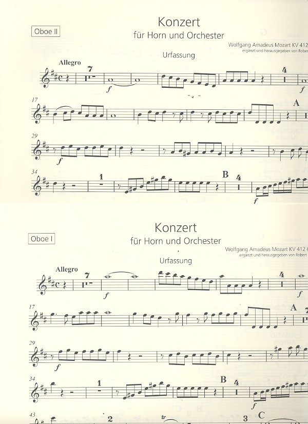 Konzert D-Dur Nr.1 KV412 (KV386b)
