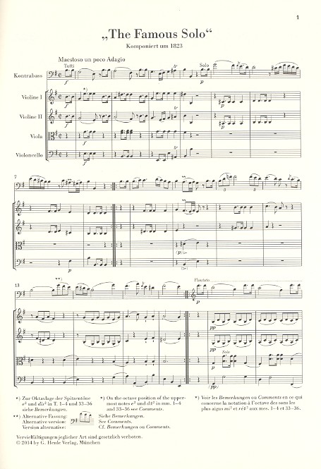 The famous Solo