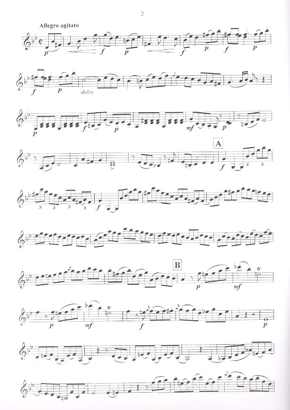 Duo op.6,2
