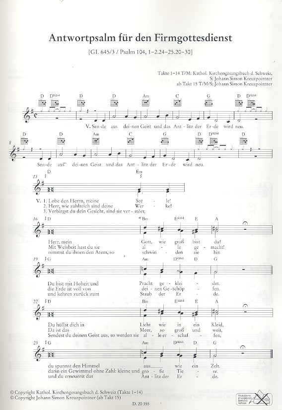 Feuer und Flamme - Gesänge zur Firmung