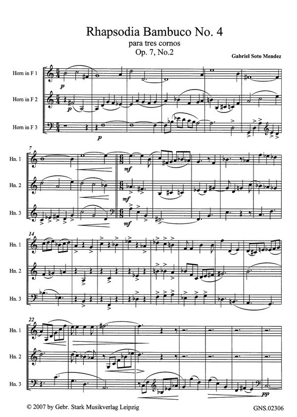 Rapsodia bambuco Nr.4 op.7,2