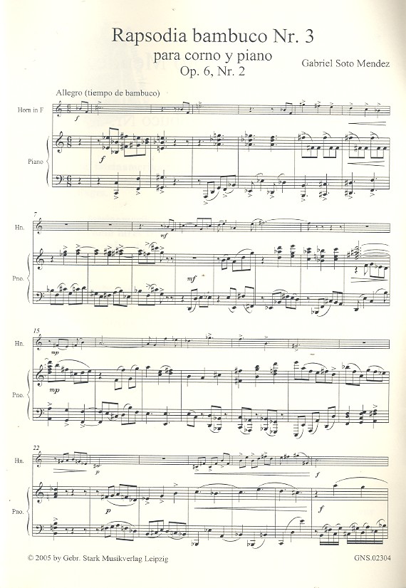 Rapsodia bambuco Nr.3 op.6,2