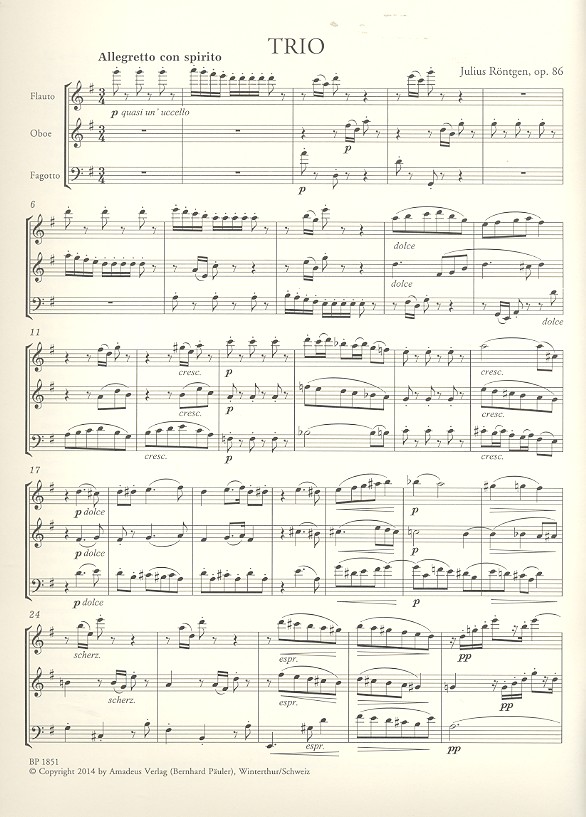 Trio G-Dur op.86