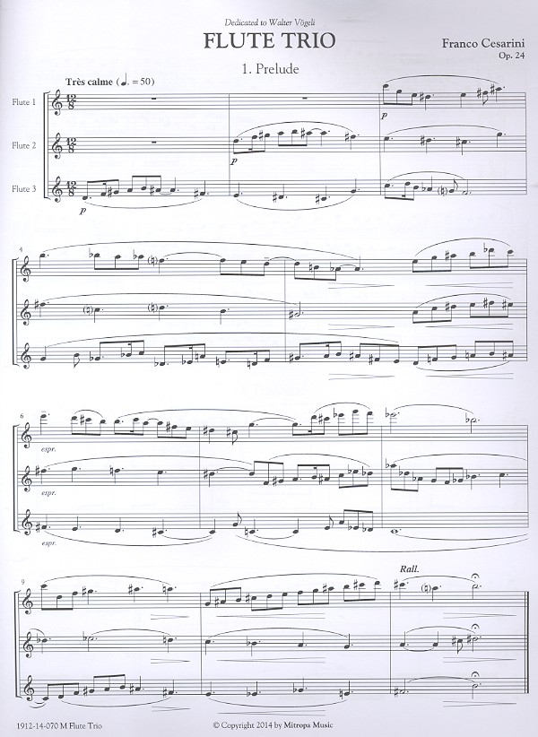 Flute Trio op.24