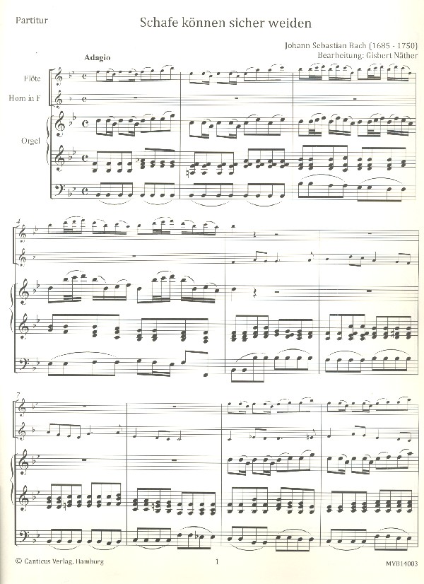 Schafe können sicher weiden