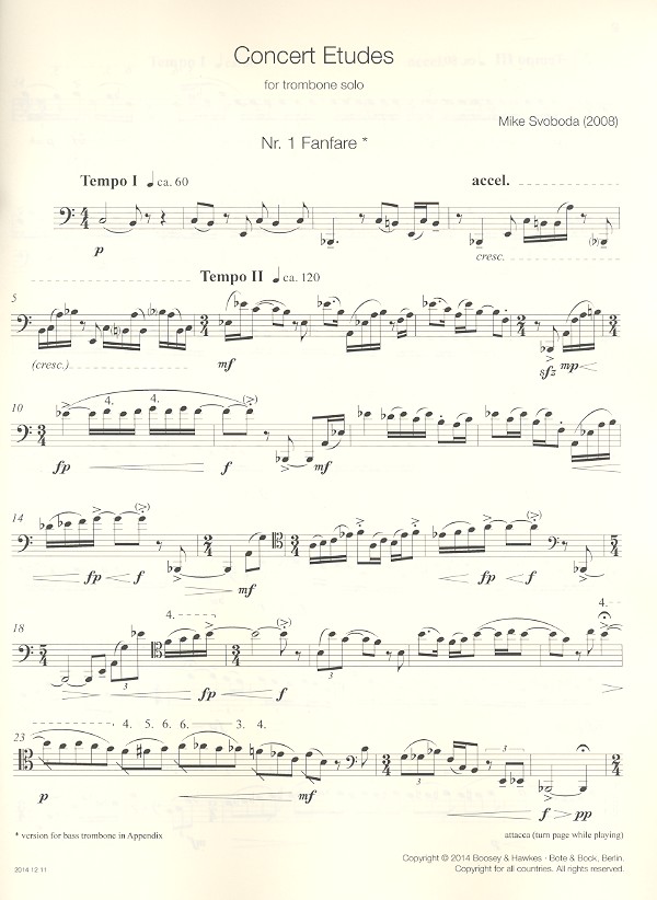 Concert Etudes vol.1 (nos.1-5)