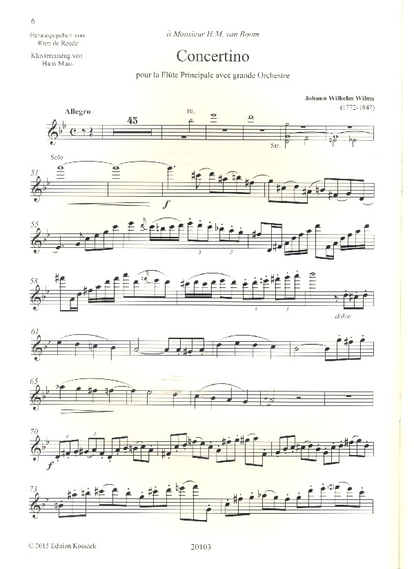 Concertino g-Moll für Flöte und Orchester
