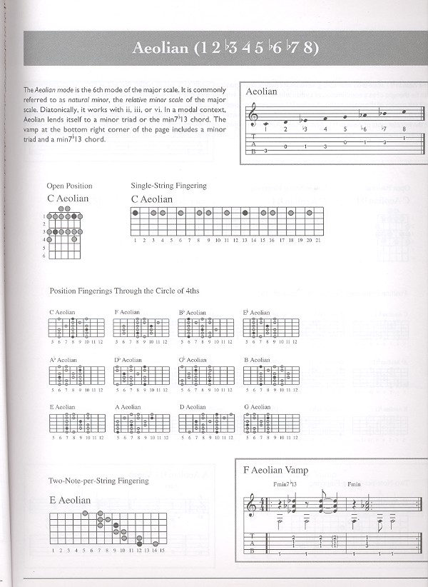 The ultimate Guitar Scale Bible