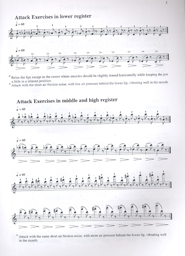 Suzuki Flute School vol.11
