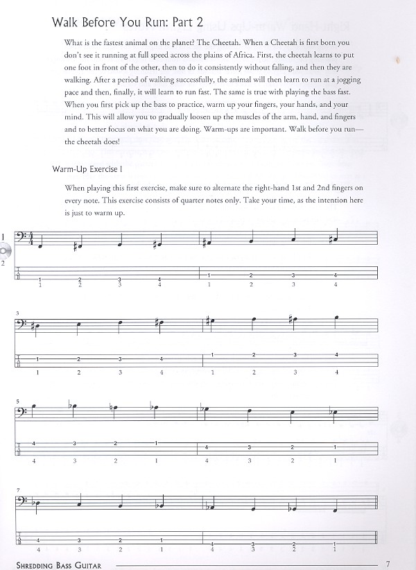 Shredding Bass Guitar (+CD):