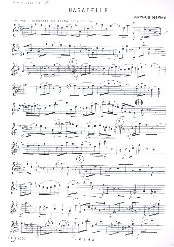 Bagatelle für Klarinette, Fagott und Orchester