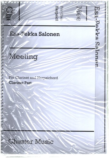 Meeting