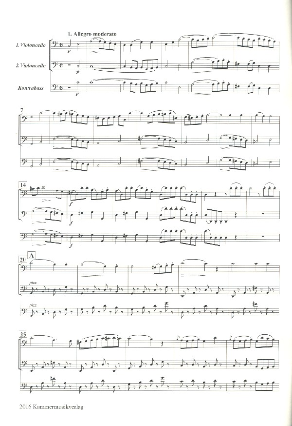 Streichduo d-Moll op.47,1