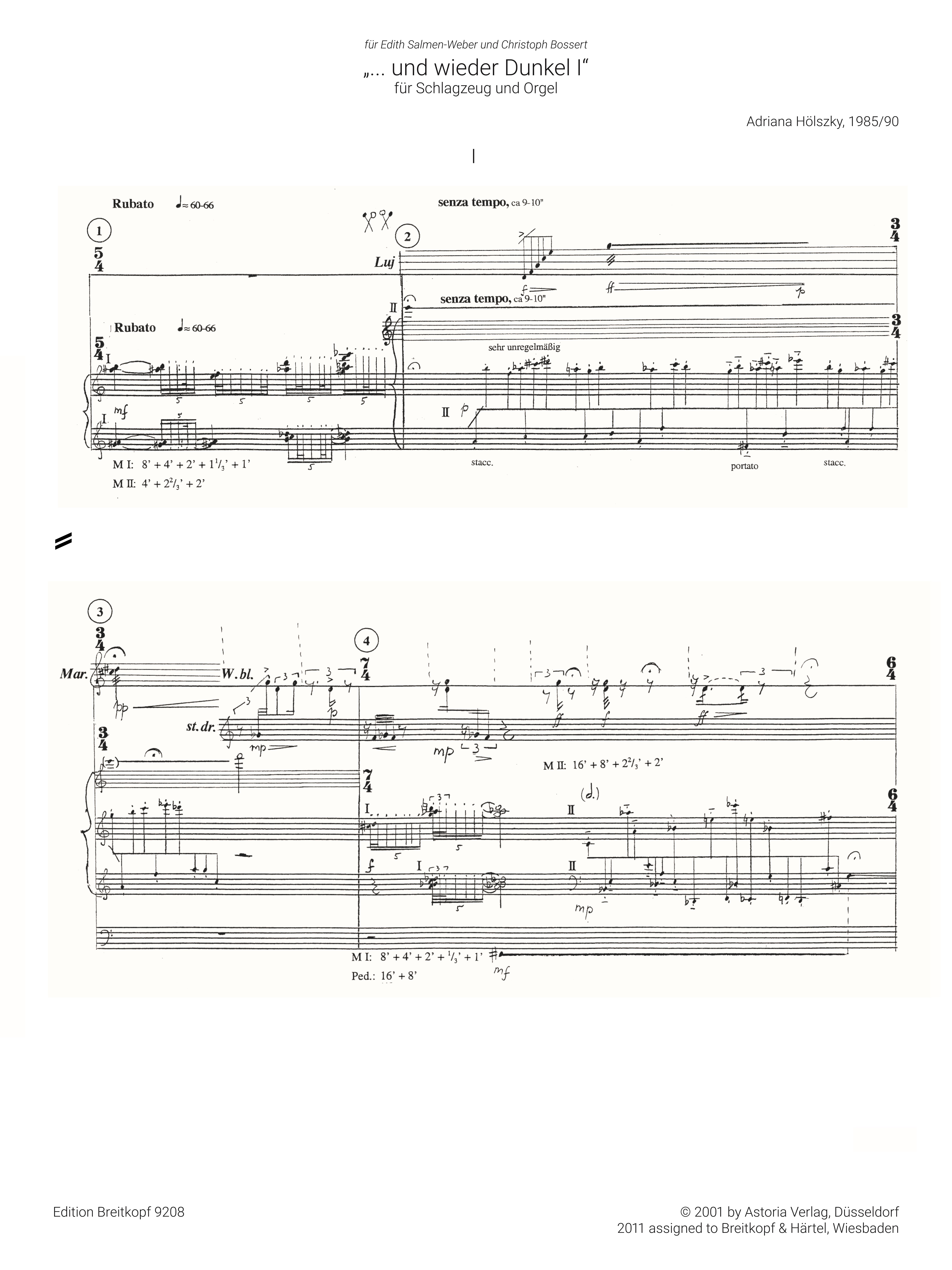 ... und wieder Dunkel I