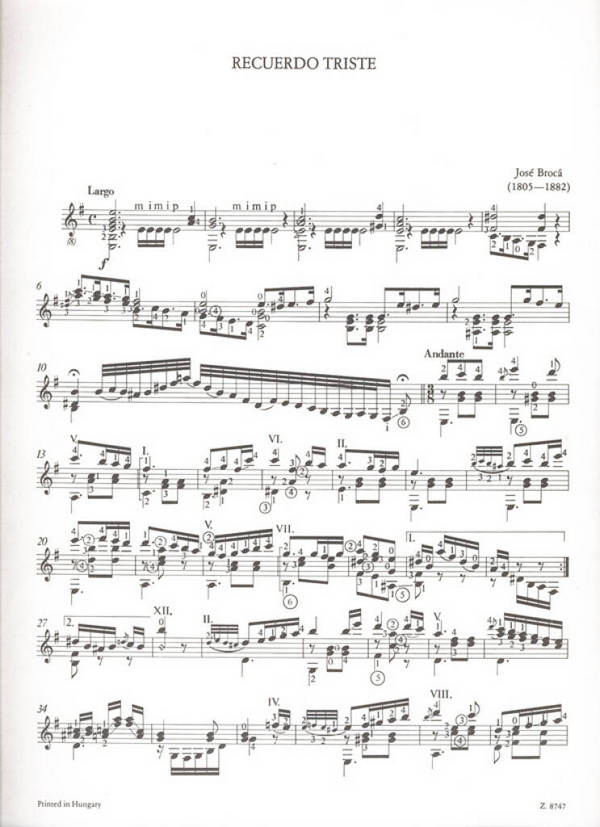 Spanish Guitar Music