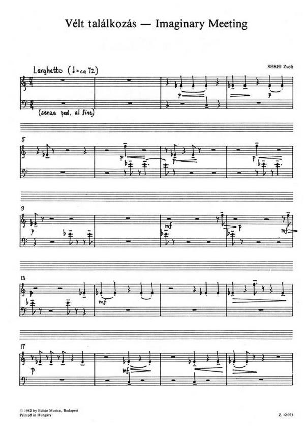 Serei Zsolt Imaginary Meeting