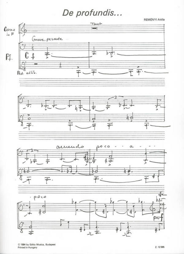 Reményi Attila Epilogue I