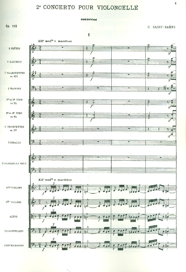 Konzert d-Moll op.119