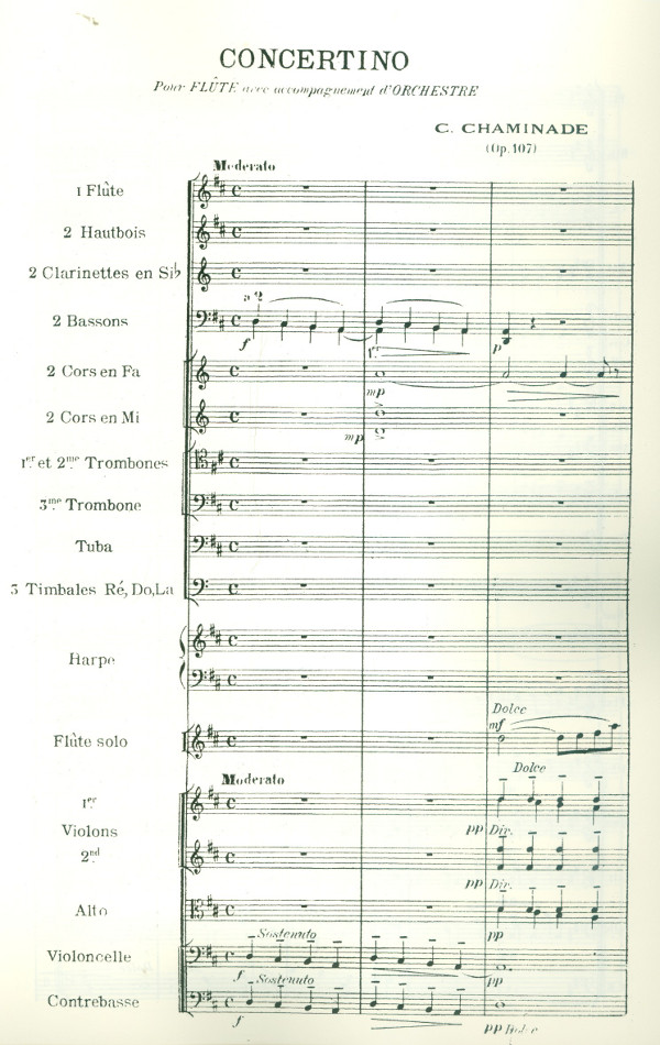 Concertino op.107