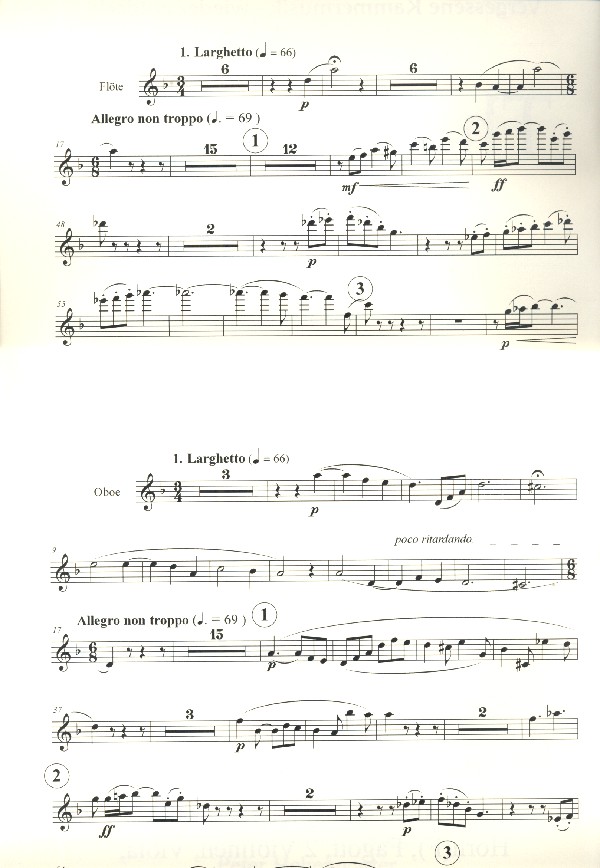 Doppel-Quintett d-Moll