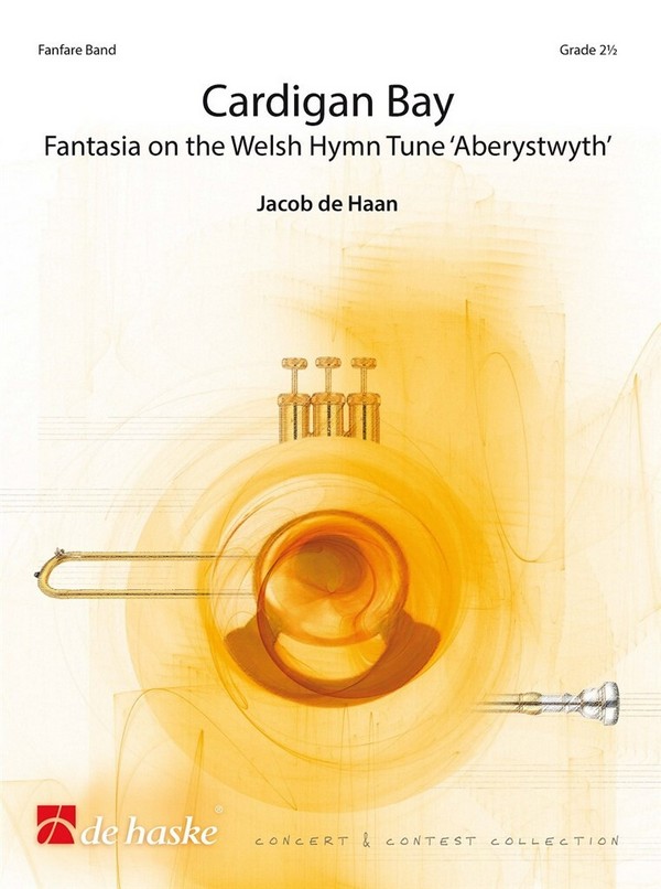 Jacob de Haan, Cardigan Bay