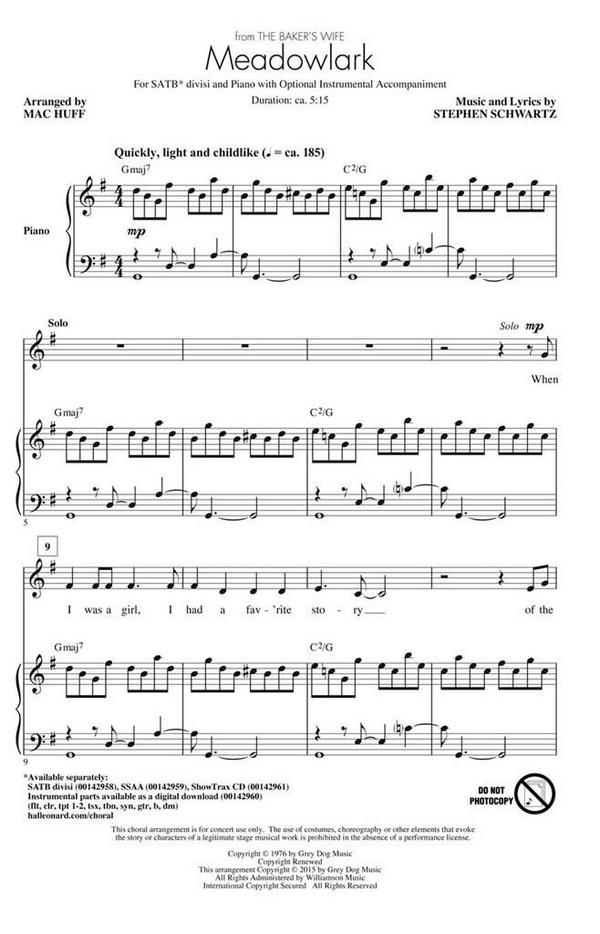 Stephen Schwartz, Meadowlark